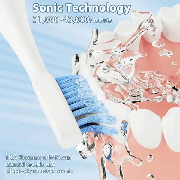Electric Toothbrush (6)