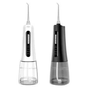 dental flosser (1)