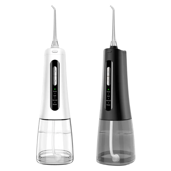 dental flosser (1)