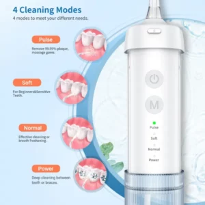 portable water flosser